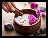 beautiful display of aromatherapy oils