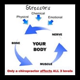 chiropractic care for whole body