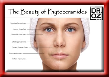 phytoceramides are a facelift in a bottle, the no surgery facelift